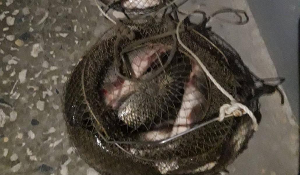 239738265_2987867754797814_4379790486770068001_n