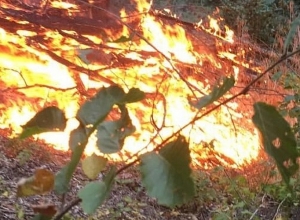 Հրդեհ է բռնկվել Արցախի «Երից Մանկանց» վանքի տարածքում