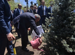 Որքա՞ն ծառ է տնկվել 10մլն ծառ նախաձեռնության շրջանակում