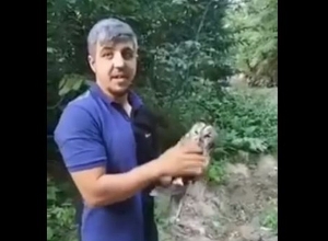 Բուն տեղափոխվել է հարակից անտառային տարածք և բաց թողնվել վայրի բնություն