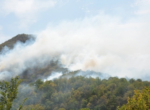 Տավուշի մարզի Արծվաբերդ գյուղում այրվել է մոտ 20 հա խոտածածկույթ
