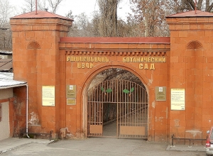 Հրդեհ է բռնկվել Երևանի Բուսաբանական այգում