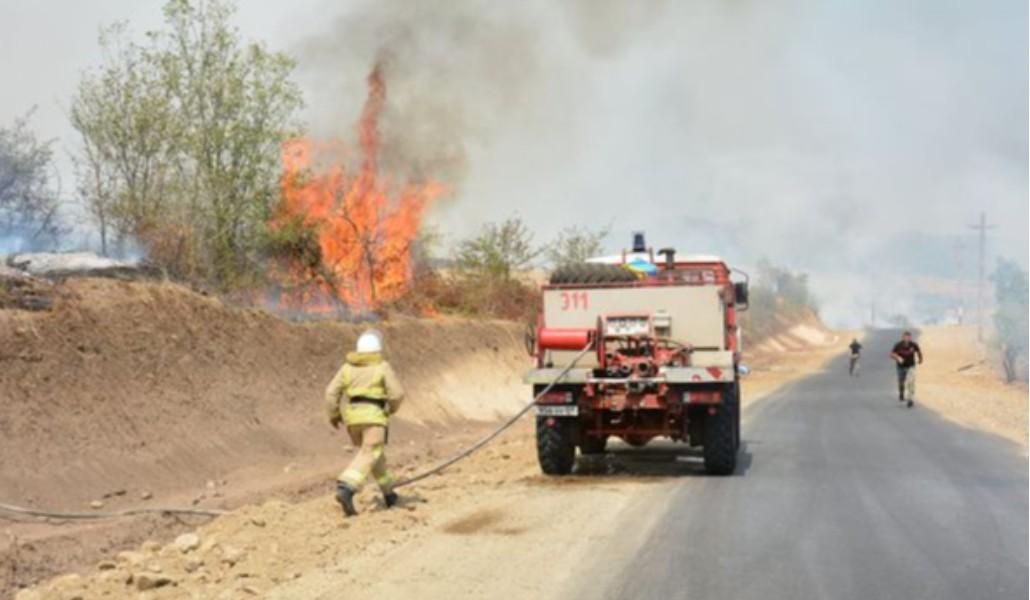 239734777_208142541331922_8558929297312559590_n