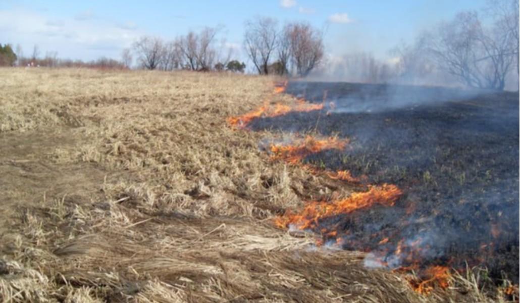 240784925_2828052524110092_7216427363649453847_n