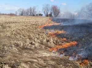 «Խոսրովի անտառ» պետական արգելոցի տարածքում հրդեհն ամբողջությամբ մեկուսացվել է