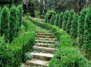 «Արգելոցապարկային համալիր» ՊՈԱԿ-ի Իջևանի դենդրոպարկը նոր տնօրեն ունի