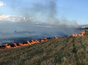 Սիսիան-Գորիս ավտոճանապարհի հարակից տարածքում մոտ 20 հա խոտածածկույթ է այրվել