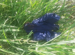 Նորաշենի բնակիչը ձերբակալվել է՝ համագյուղացու նկատմամբ սպանության փորձ կատարելու կասկածանքով (լուսանկարներ)