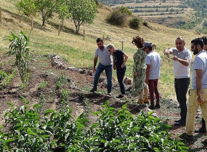 Տանձենիների վտանգված տեսակները պահպանելուն ուղղված ծրագիր է իրականացվում