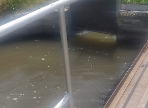 «Յաղդան ՓՀԷԿ»-ը 22,5 միլլիոն դրամի վնաս է հասցրել շրջակա միջավայրին