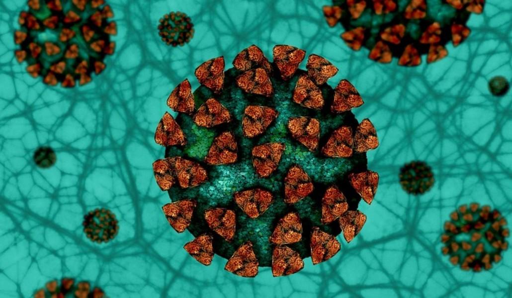 covid-indiyski-shtam