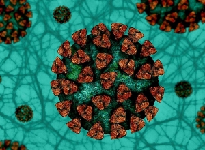 Վերջին մեկ օրում Վրաստանում ապաքինվել է 5 017 մարդ, մահացել է 81 պացիենտ․ jnews.ge