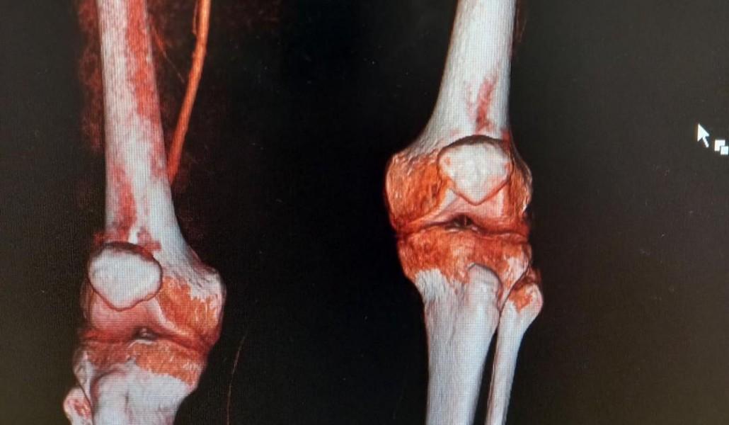 241336848_3049239055322199_282157064669915833_n