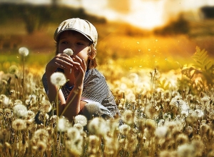 Շոգերը հեշտ չեն նահանջի