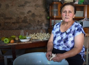 Սարի կնոջ գյուղի կյանքը. Սյունիք