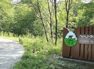 «Դիլիջան ազգային պարկ» ՊՈԱԿ-ի  տնօրենի պաշտոնակատարին մեղադրանք է ներկայացվել. նրա պաշտոնավարումը կասեցվել է