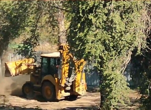 Ֆիզգորոդոկում հենց հիմա Ռատկո ՍՊԸ-ն ջարդում ու վերացնում է ծառերը․ ահազանգ