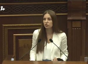 Определитесь, вы – правительство или нет? Анна Григорян – представителям ГД