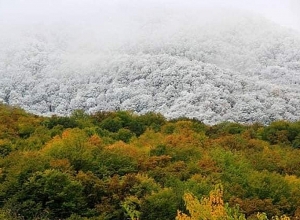 Այսօր Հայաստանում նշվում է որպես բնության հատուկ պահպանվող տարածքների օր