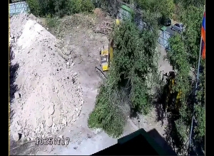 В Физгородке выкорчевано 50-летнее дерево