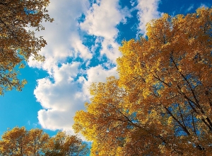 Ջերմաստիճանը նվազելու է