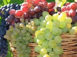 Обсуждалась проблема, возникшая в ходе закупок винограда