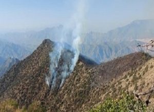 «Արևիկ» ազգային պարկի հրդեհի մարման համար նոր ուժեր են ներգրավվել