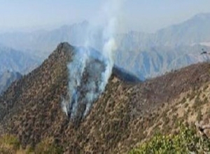 «Արևիկ» ազգային պարկի տարածքում հրդեհաշիջման աշխատանքները ժամանակավորապես դադարեցվել են