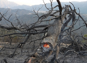 Հրդեհ Նոր Երզնկա  գյուղում