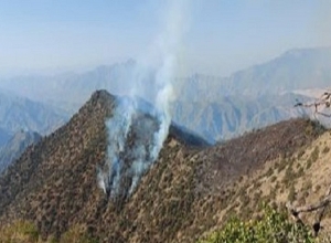 «Արևիկ» ազգային պարկի հրդեհաշիջման աշխատանքները ժամանակավորապես դադարեցվել են