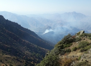 Հրշեջները կրկին մեկնել են «Արևիկ» ազգային պարկ