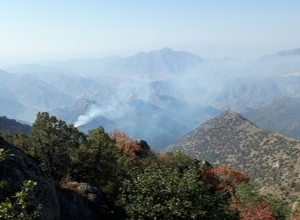 «Արևիկ» ազգային պարկում հրդեհաշիջման աշխատանքները վերսկսվել են