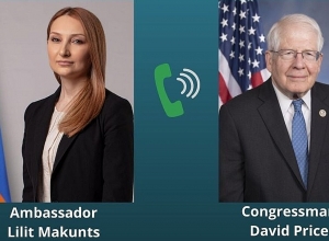 Լիլիթ Մակունցը հեռավար հանդիպում է ունեցել կոնգրեսական Դեյվիդ Փրայսի հետ