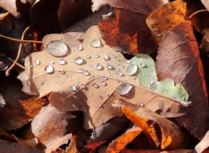 Ինչ եղանակ են կանխատեսում առաջիկա օրերի համար