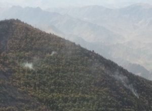 «Արևիք» ազգային պարկի տարածքում հրդեհաշիջման աշխատանքները վերսկսվել են