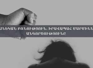 Семейное насилие: бездействие правоохранительных органов: ПРЯМОЙ ЭФИР