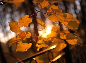 Հոկտեմբեր ամսվա կլիմայական բնութագիրը և եղանակային կանխատեսումը