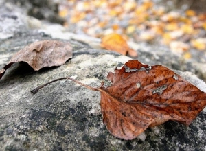 Արցախի հովտային շրջաններում ջերմաստիճանը կհասնի մինչև +20 աստիճանի