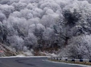 Դիլիջանի ոլորանները ժամանակավորապես փակվել են որոշ տրանսպորտային միջոցների համար