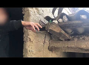 Ոստիկանները 240 գրամից ավելի թմրամիջոց են հայտնաբերել