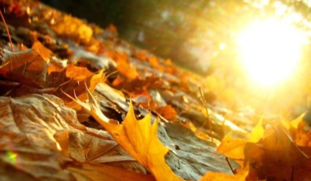 35172-Glorious-Autumn-Sun