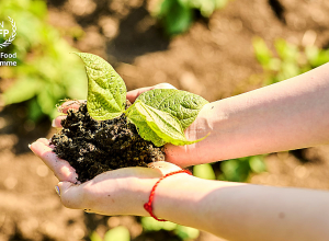 Աշխարհը կբախվի կլիմայական ճգնաժամի հետևանքով առաջացած սովի աննախադեպ աճի․ՊՀԾ