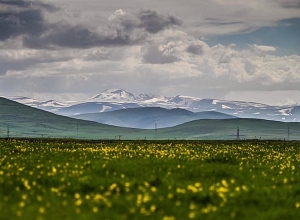 Գեղարքունիք ներխուժած ադրբեջանցիների ակտիվությունը շեշտակի է մեծացել․ ՄԻՊ