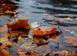 6-8 աստիճանով ցրտելու է․ սպասվում են տեղումներ