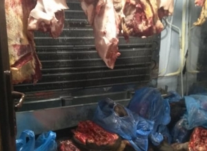 Արմավիրում ու Արարատում ոչ սպանդանոցային ծագման մսի ողջ խմբաքանակի իրացումը կասեցվել է