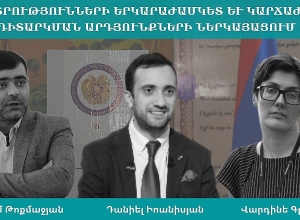 ՏԻՄ ընտրությունների երկարաժամկետ և կարճաժամկետ դիտարկման արդյունքների ներկայացում. ՈՒՂԻՂ