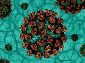 Արցախում կորոնավիրուսային հիվանդության 78 նոր դեպք է գրանցվել