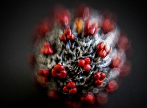 Վրաստանում 1 օրում կորոնավիրուսով վարակվել է 4 226 մարդ