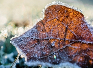 Внимание: на Араратской долине будет зарегистрирована отрицательная температура