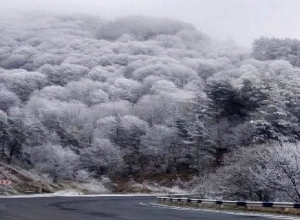 Կանխատեսված ձյունը սկսեց տեղալ